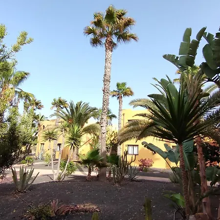 Casa Margherita Oasis Tamarindo 1 Saltwater Pools Lägenhet Corralejo