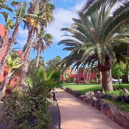 Casa Margherita Oasis Tamarindo 1 公寓